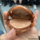 장생목장 | #26 2024 6월 다섯째주 일기