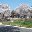 임고농업협동조합보현지소 이미지