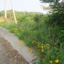 대불종합자동차정비 이미지