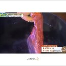 양지로8L 네이버블로그