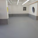 브라이튼독 이미지