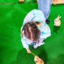 (주) 나유 | 홍천 여행 아이와 가볼만한곳 홍천동키마을 체험 후기