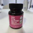 베리홀릭 | 유기농 하스카프베리, 에코홀릭 분말로 처음 접해본 솔직 후기