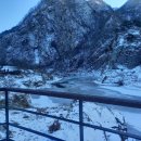 대교초교 이미지