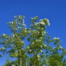 충무공파출소 이미지