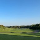 (주)사이프러스 네이버블로그