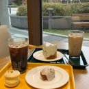 수원-0121 | 수원 카페 추천 파란만잔 광교점 가성비 베이커리 데이트 코스