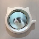아워온포레스트