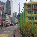 용인대석사청룡태권도 | 평내동 태권도 유치부 별도 운영 도장 용인대석사청룡태권도