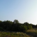 장고항1리마을회관 이미지