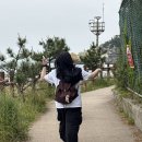 고민석불오뎅 네이버블로그