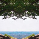 부여생활사박물관 이미지