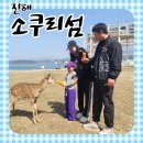 진해소쿠리섬 바닷길 열리는 웅도 경남 아이랑 가볼만한 곳 사슴 캠핑 낚시