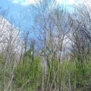 발화동길 이미지