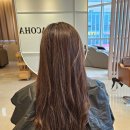 아코하롬헤어양주 이미지