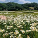 금강신관공원 2 이미지