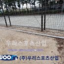 성남고등학교 이미지