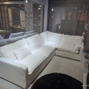 나무와풍경 이미지