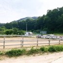 주식회사 월드승마학교 네이버블로그