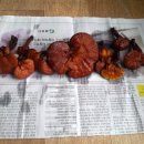 부동목장 이미지