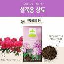 블루베리가 좋아하는 산성토(pH 4.2~5.2) 이미지