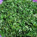 일광농장 이미지