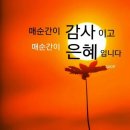 은혜 - 동구 대동 | 은혜