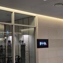 판교중학교 | 판교 몽중헌 가족모임하기 좋은 고급 중식당 딤섬 요리 단품 후기 전체메뉴판