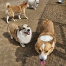 죽빵훈련소 이미지