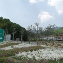 국립산림치유원 이미지
