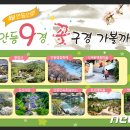 봉정사&만휴정테마 이미지