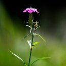 으뜸의료기 이미지