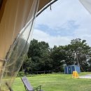 스테이그린 이미지