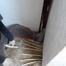 신동아파트 이미지