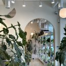 갈매카페거리 이미지