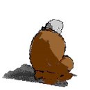 달콤한 사과이야기 Daum카페