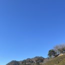 세븐일레븐 율포점 이미지