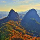 마이산농장 이미지