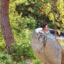 포레스트리솜 이미지