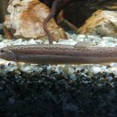 고기나라 이미지