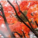 구룡초등학교 이미지