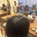 쿨헤어 - 강서구 | 문정동미용실 에이치로그헤어, 쿨브라운 톤다운 염색 후기