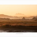 공릉천변 이미지