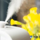 바른연합의원 이미지