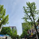 다비치안경전주객사점 | 내돈내산) 전주 다비치안경 객사점 방문