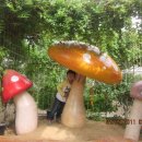 원평목장 이미지