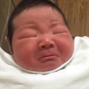 아이폰튠업 이미지
