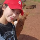 명성목장 이미지