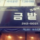 금밭미용실 - 수원시 영통구 | 금밭미용실