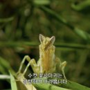 불이아한남점